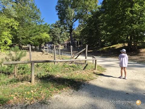 Wildpark Ernstbrunn — Foto 6